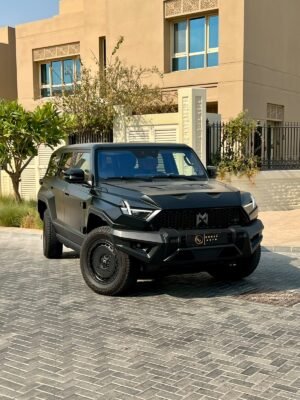 M-Hero 1
